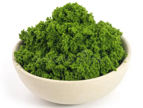 Watermeal Plant
